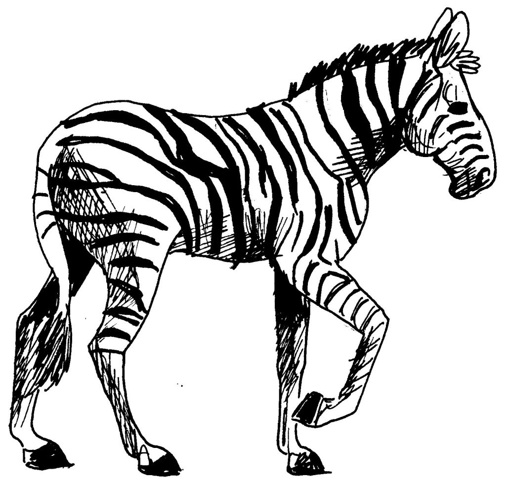 Coloring page: Zebra (Animals) #12962 - Free Printable Coloring Pages