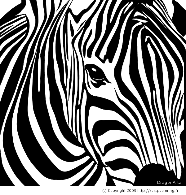 Coloring page: Zebra (Animals) #12965 - Free Printable Coloring Pages