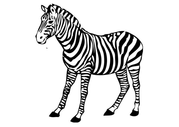 Coloring page: Zebra (Animals) #12972 - Free Printable Coloring Pages
