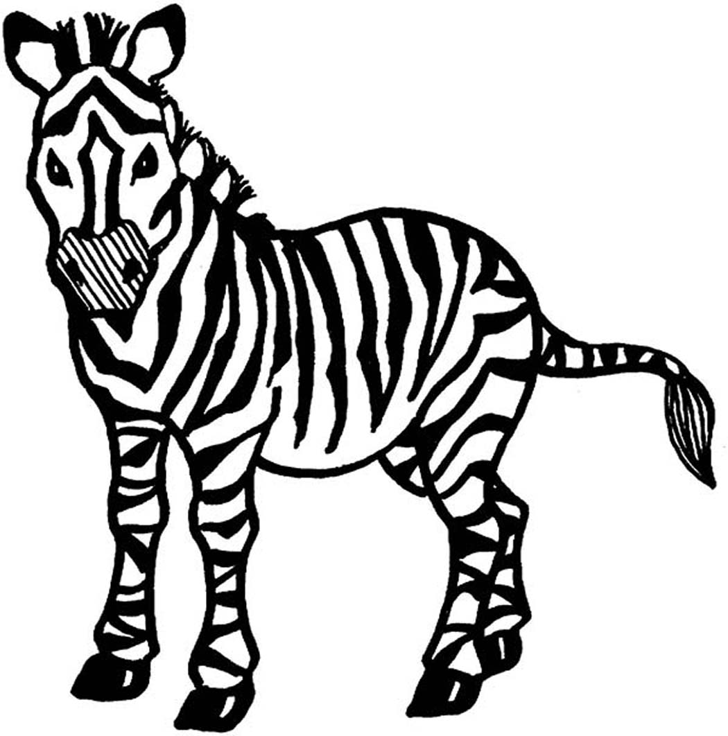 official Mighty ring animal print coloring pages Tahiti Mixed ...