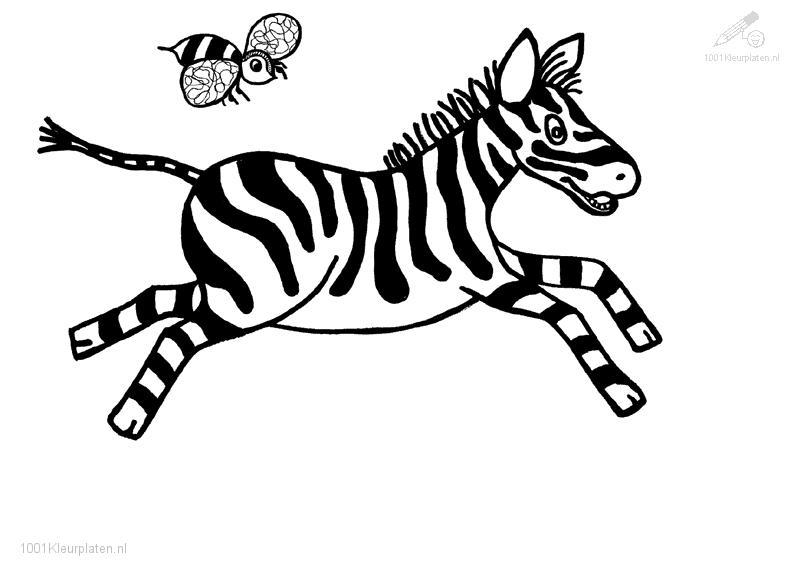 Coloring page: Zebra (Animals) #13003 - Free Printable Coloring Pages