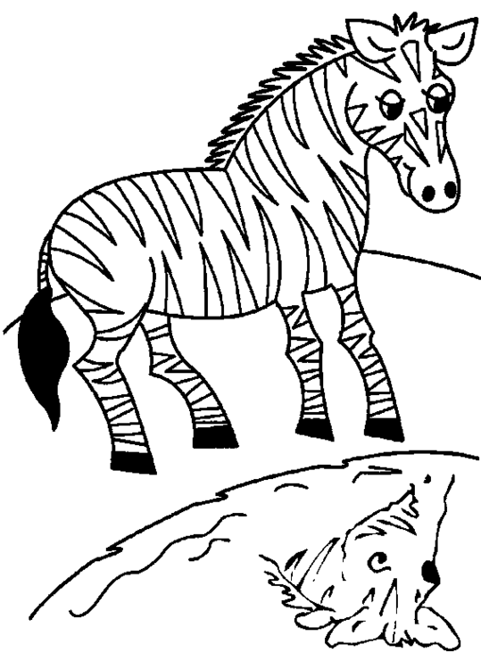 Coloring page: Zebra (Animals) #13013 - Free Printable Coloring Pages