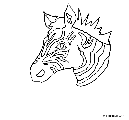 Coloring page: Zebra (Animals) #13017 - Free Printable Coloring Pages