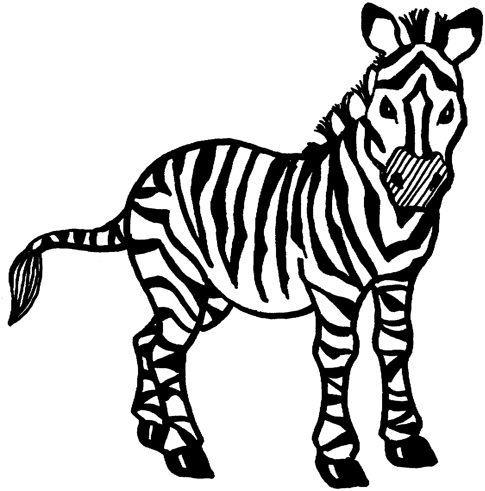 Coloring page: Zebra (Animals) #13019 - Free Printable Coloring Pages