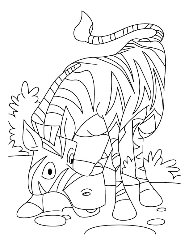 Coloring page: Zebra (Animals) #13024 - Free Printable Coloring Pages