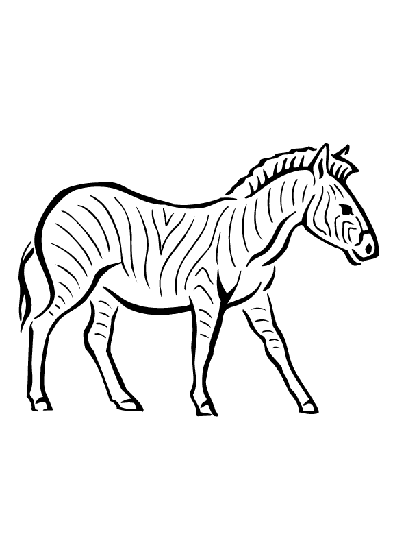 Coloring page: Zebra (Animals) #13032 - Free Printable Coloring Pages