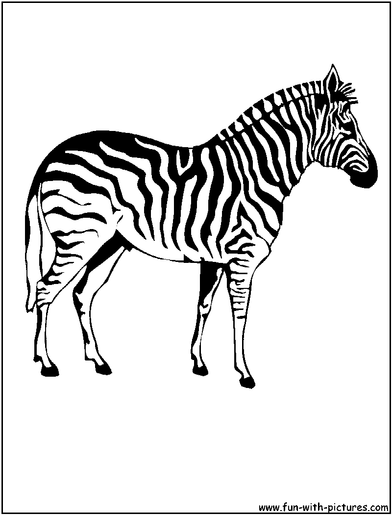 Coloring page: Zebra (Animals) #13037 - Free Printable Coloring Pages