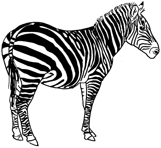 Coloring page: Zebra (Animals) #13039 - Free Printable Coloring Pages