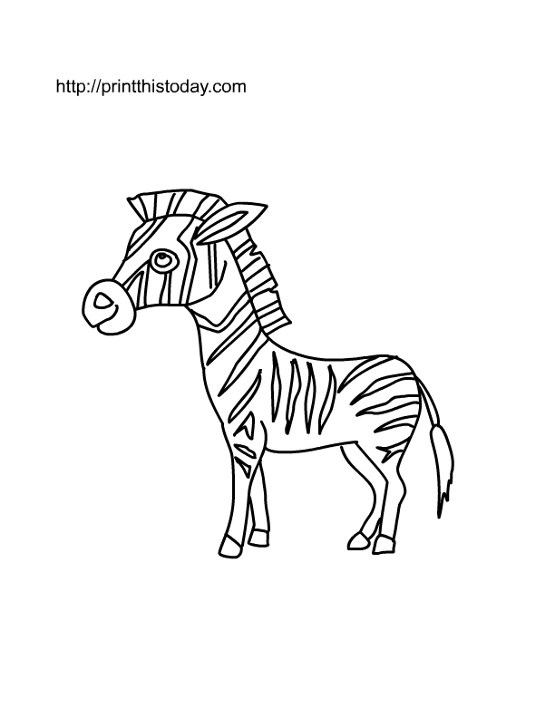 Coloring page: Zebra (Animals) #13049 - Free Printable Coloring Pages