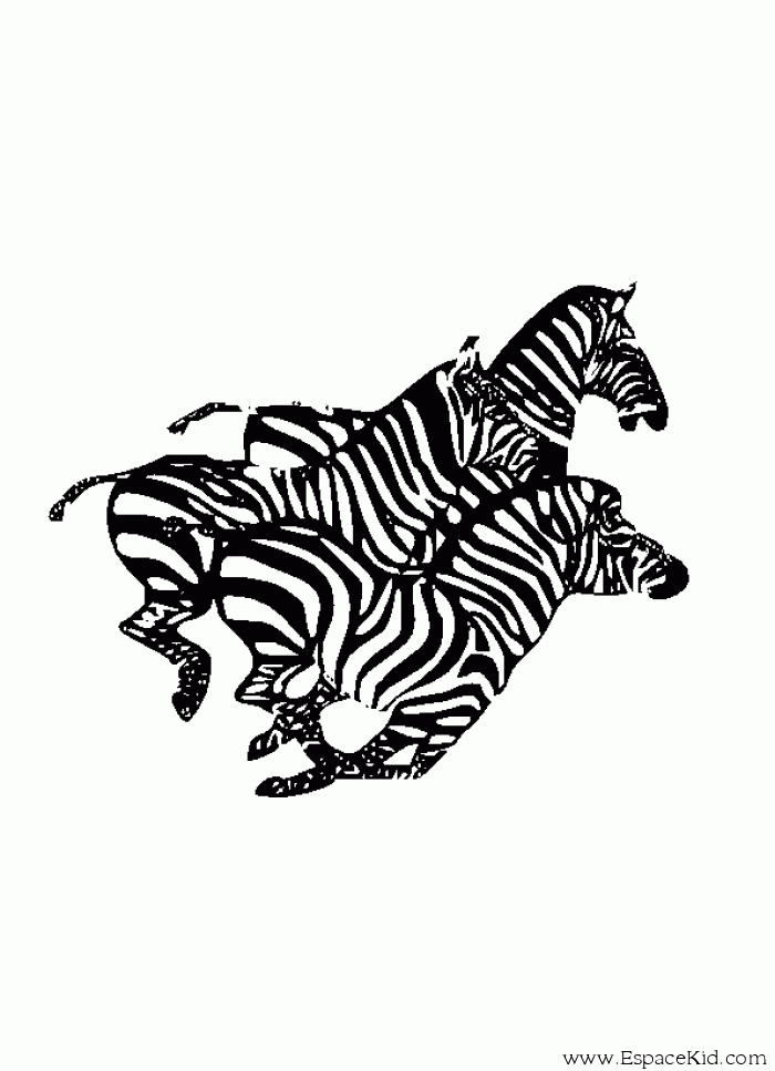 Coloring page: Zebra (Animals) #13067 - Free Printable Coloring Pages