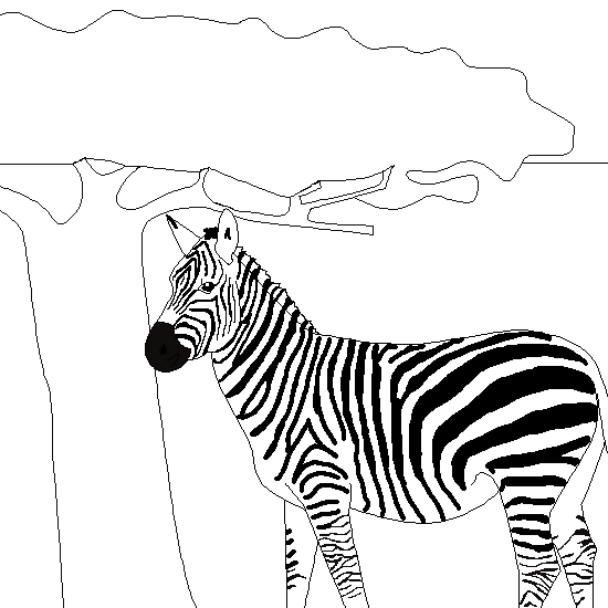 Coloring page: Zebra (Animals) #13075 - Free Printable Coloring Pages