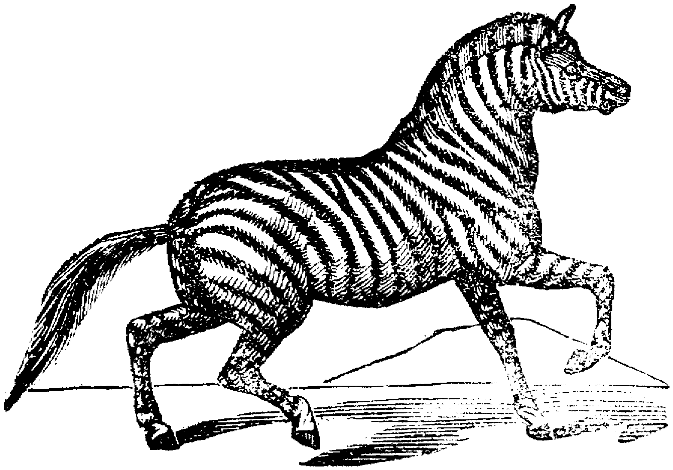 Coloring page: Zebra (Animals) #13077 - Free Printable Coloring Pages