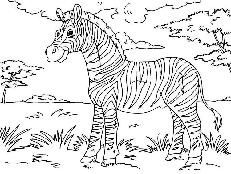 Coloring page: Zebra (Animals) #13087 - Free Printable Coloring Pages