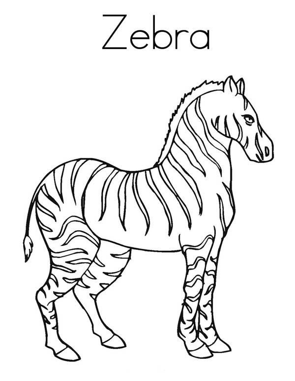 Coloring page: Zebra (Animals) #13096 - Free Printable Coloring Pages