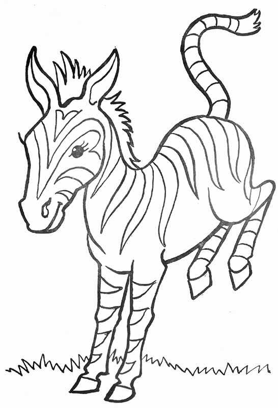Coloring page: Zebra (Animals) #13105 - Free Printable Coloring Pages
