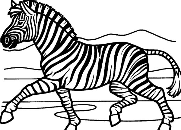 Coloring page: Zebra (Animals) #13120 - Free Printable Coloring Pages