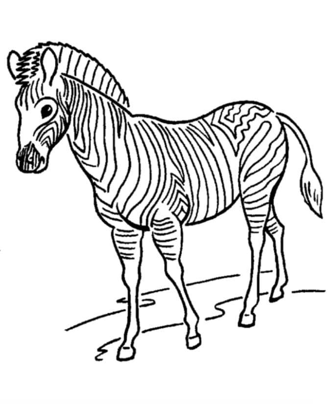 Free printable Zebra coloring page #197192 from Animals collection