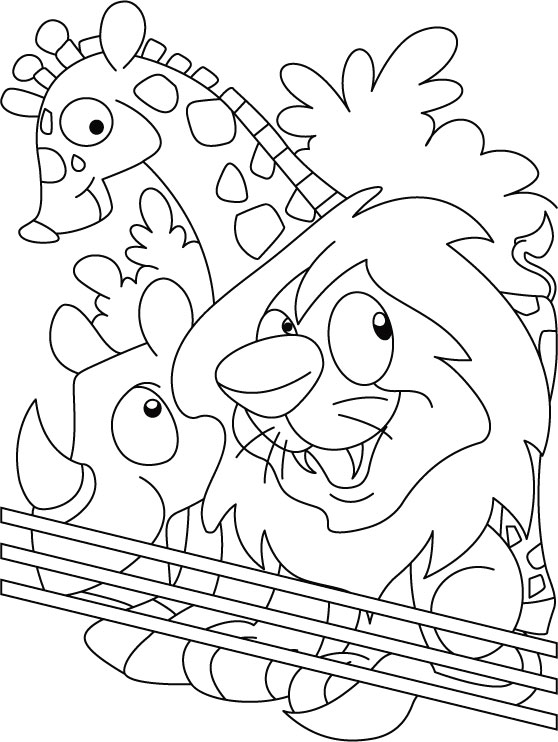 Coloring page: Zoo (Animals) #12649 - Free Printable Coloring Pages