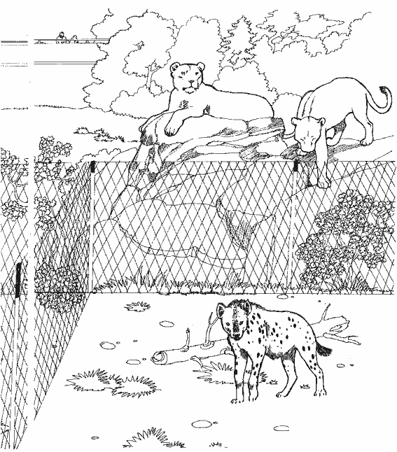 Coloring page: Zoo (Animals) #12653 - Free Printable Coloring Pages