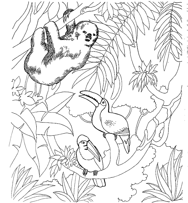 Coloring page: Zoo (Animals) #12655 - Free Printable Coloring Pages