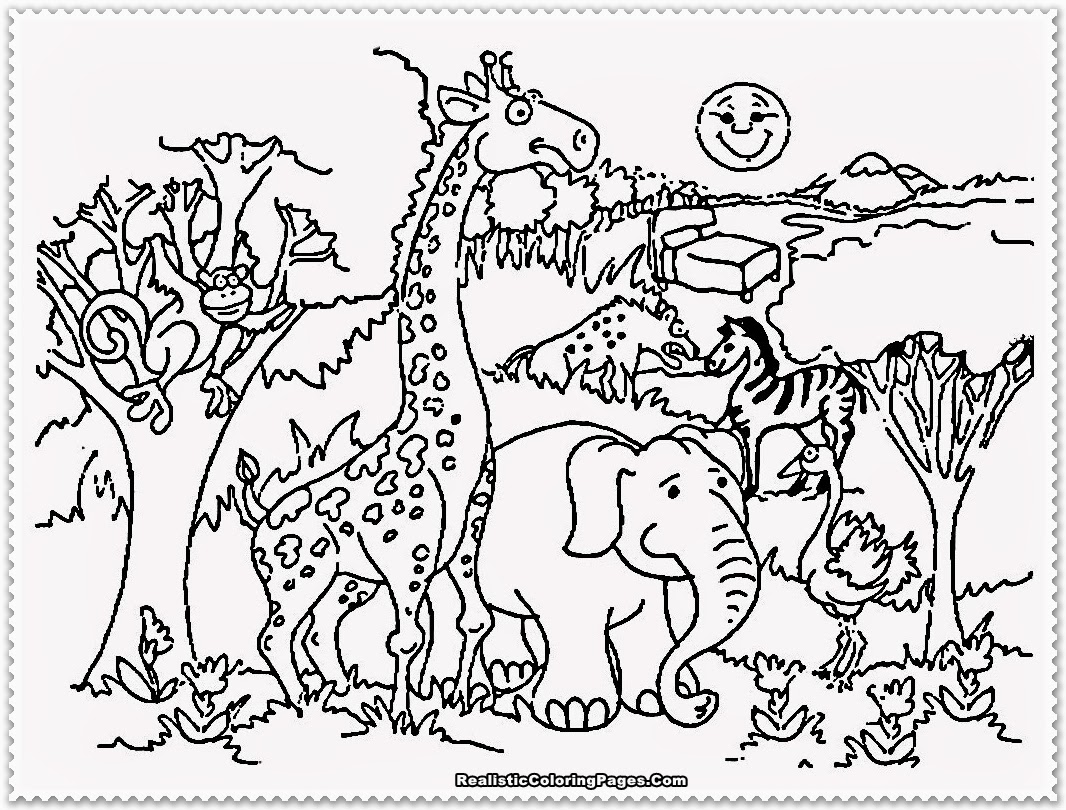 Drawing Zoo 20 Animals – Printable coloring pages