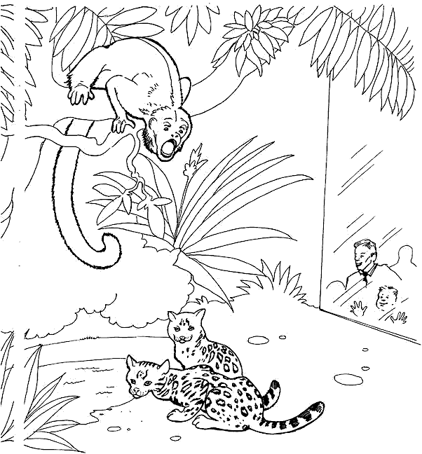 Coloring page: Zoo (Animals) #12668 - Free Printable Coloring Pages