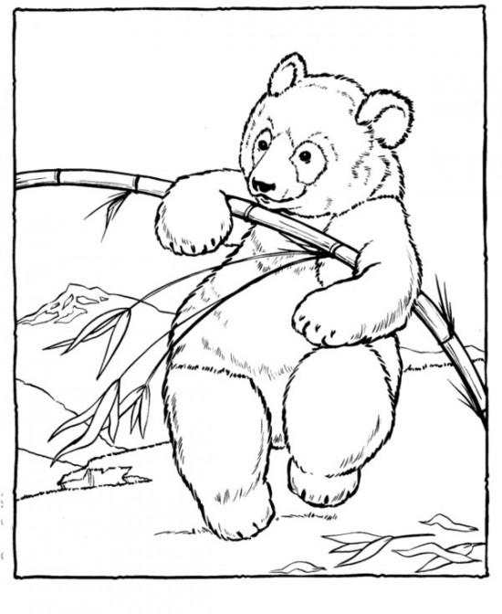 Coloring page: Zoo (Animals) #12674 - Free Printable Coloring Pages