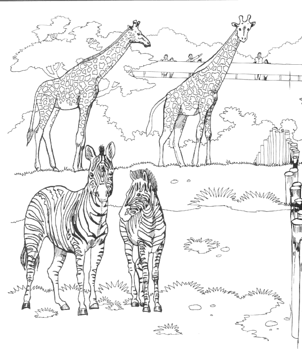 Coloring page: Zoo (Animals) #12677 - Free Printable Coloring Pages