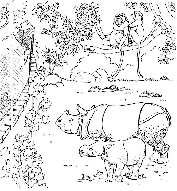 Coloring page: Zoo (Animals) #12684 - Free Printable Coloring Pages