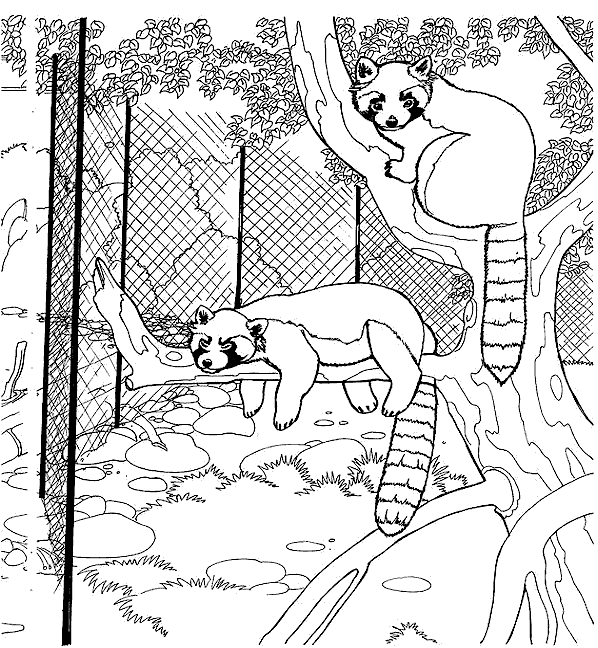 Coloring page: Zoo (Animals) #12702 - Free Printable Coloring Pages
