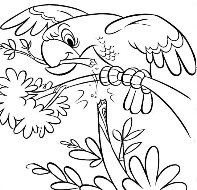 Coloring page: Zoo (Animals) #12716 - Free Printable Coloring Pages