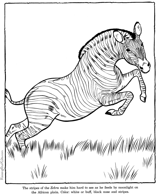 Coloring page: Zoo (Animals) #12723 - Free Printable Coloring Pages