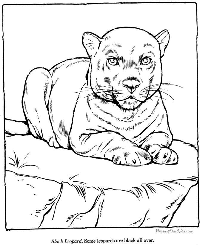 Coloring page: Zoo (Animals) #12733 - Free Printable Coloring Pages