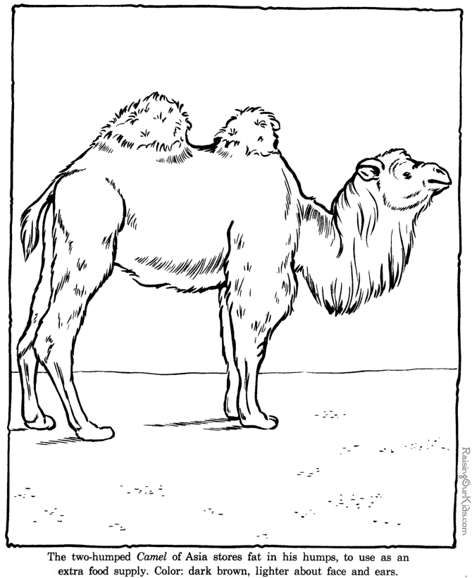 Coloring page: Zoo (Animals) #12750 - Free Printable Coloring Pages