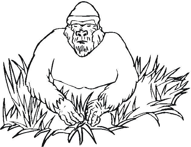 Coloring page: Zoo (Animals) #12769 - Free Printable Coloring Pages