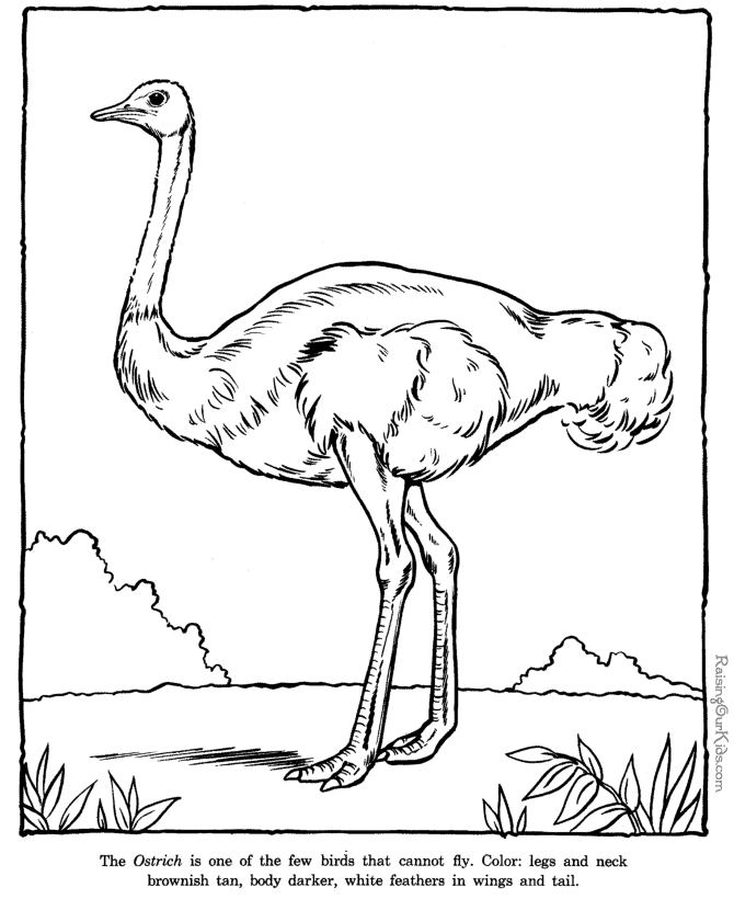 Coloring page: Zoo (Animals) #12773 - Free Printable Coloring Pages