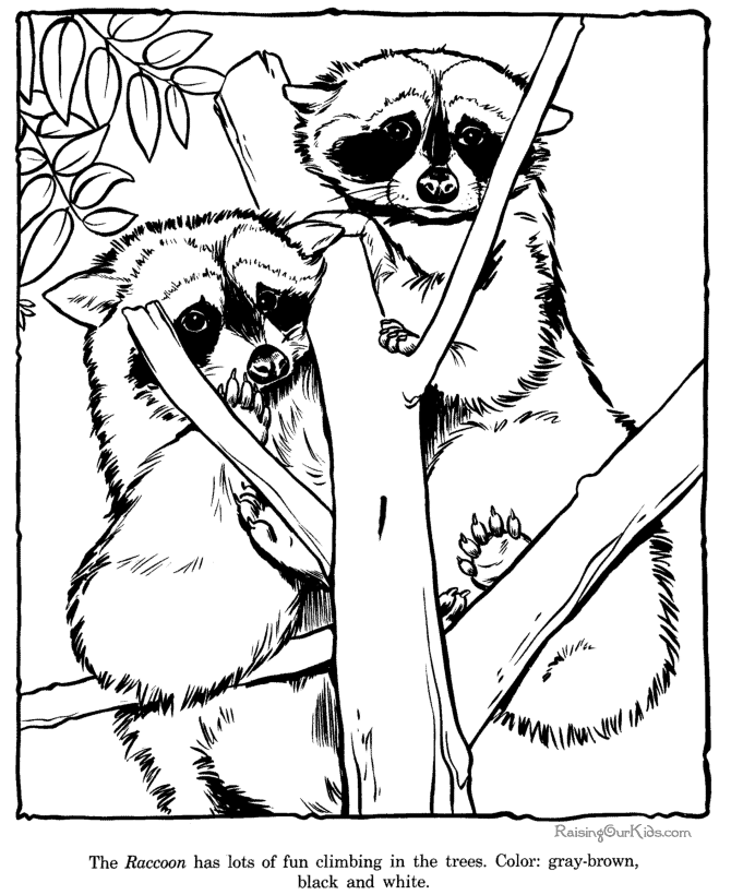 Coloring page: Zoo (Animals) #12780 - Free Printable Coloring Pages
