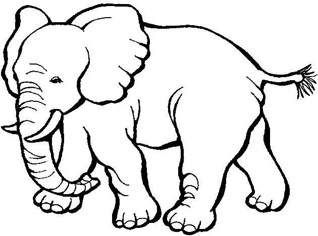 Coloring page: Zoo (Animals) #12787 - Free Printable Coloring Pages