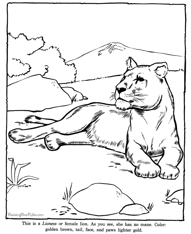 Coloring page: Zoo (Animals) #12795 - Free Printable Coloring Pages