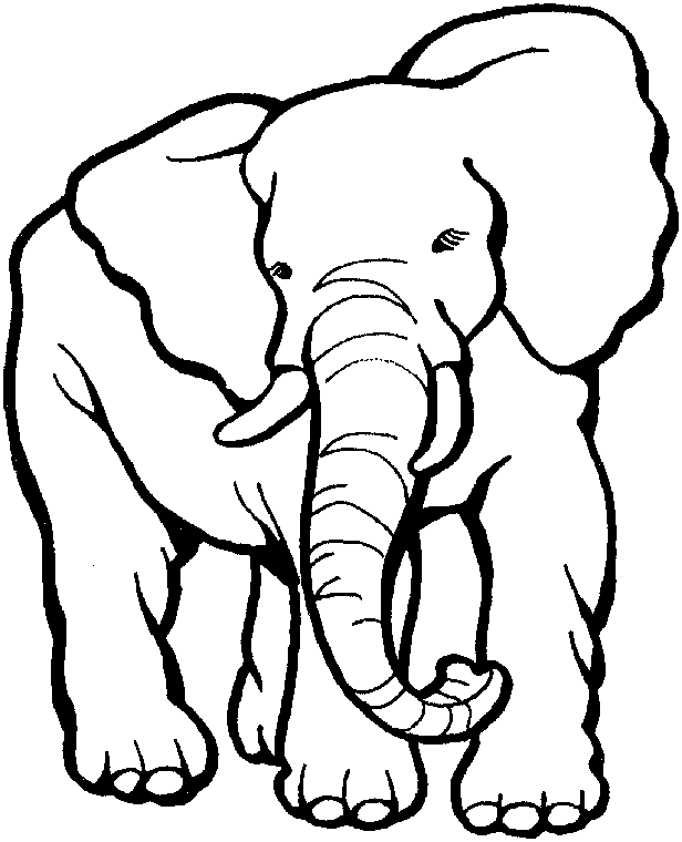 Coloring page: Zoo (Animals) #12801 - Free Printable Coloring Pages