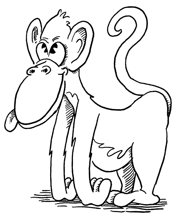 Coloring page: Zoo (Animals) #12802 - Free Printable Coloring Pages