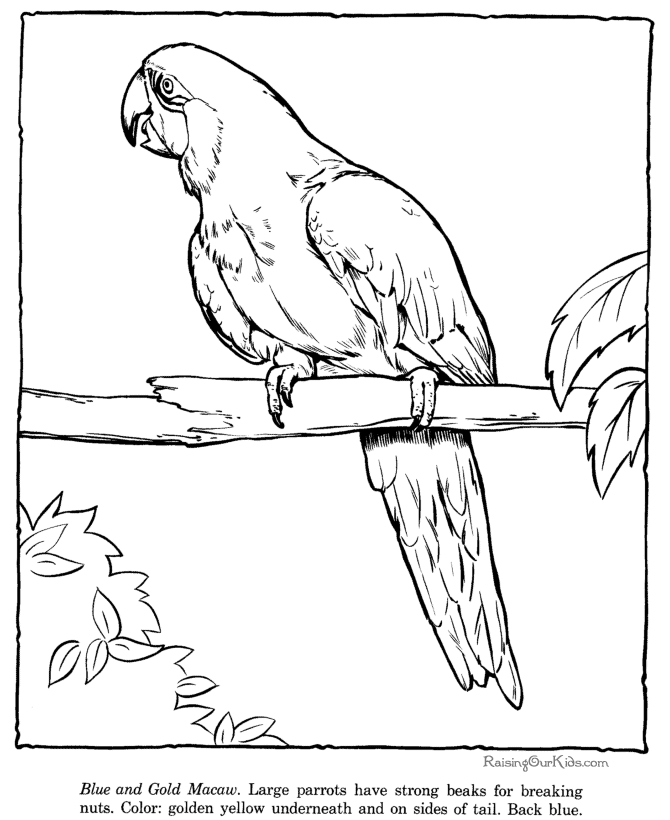 Coloring page: Zoo (Animals) #12806 - Free Printable Coloring Pages