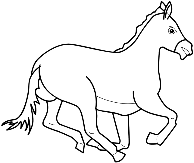 Coloring page: Zoo (Animals) #12807 - Free Printable Coloring Pages