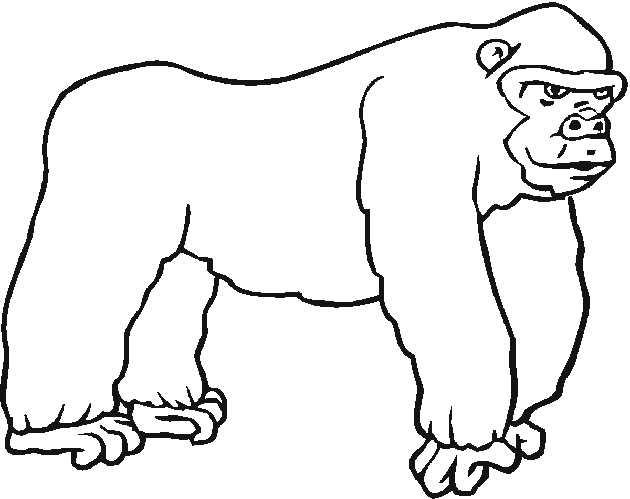 Coloring page: Zoo (Animals) #12813 - Free Printable Coloring Pages