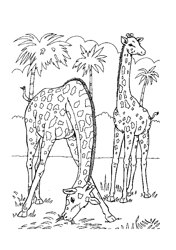 Coloring page: Zoo (Animals) #12814 - Free Printable Coloring Pages