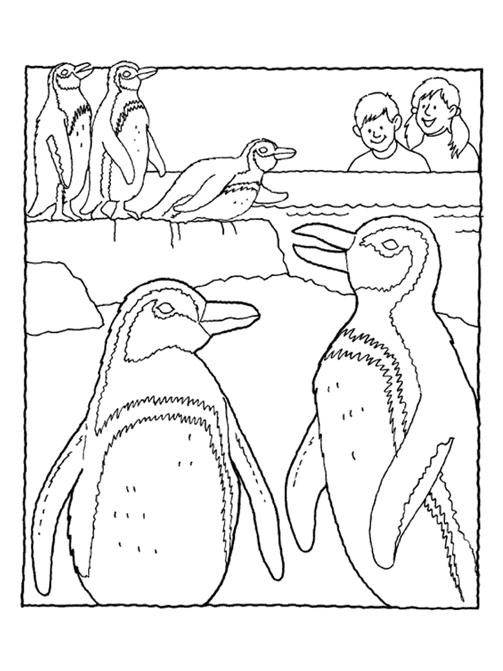 Coloring page: Zoo (Animals) #12817 - Free Printable Coloring Pages