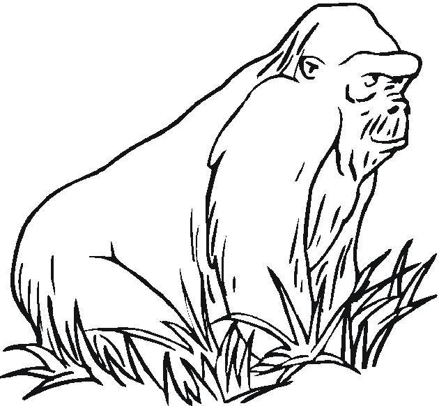 Coloring page: Zoo (Animals) #12819 - Free Printable Coloring Pages