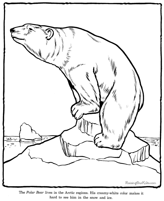 Coloring page: Zoo (Animals) #12821 - Free Printable Coloring Pages