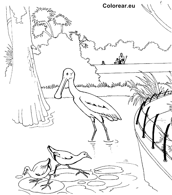 Coloring page: Zoo (Animals) #12833 - Free Printable Coloring Pages