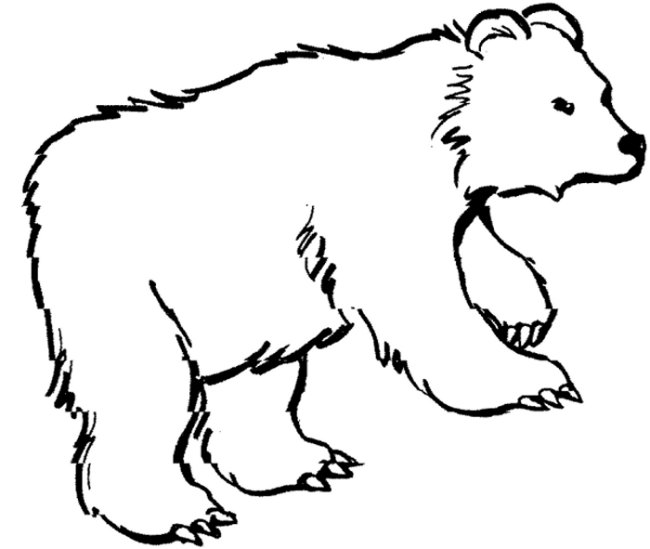 Coloring page: Zoo (Animals) #12838 - Free Printable Coloring Pages